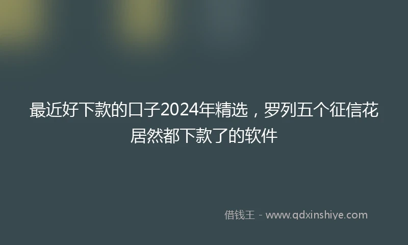 最近好下款的口子2024年精选，罗列五个征信花居然都下款了的软件