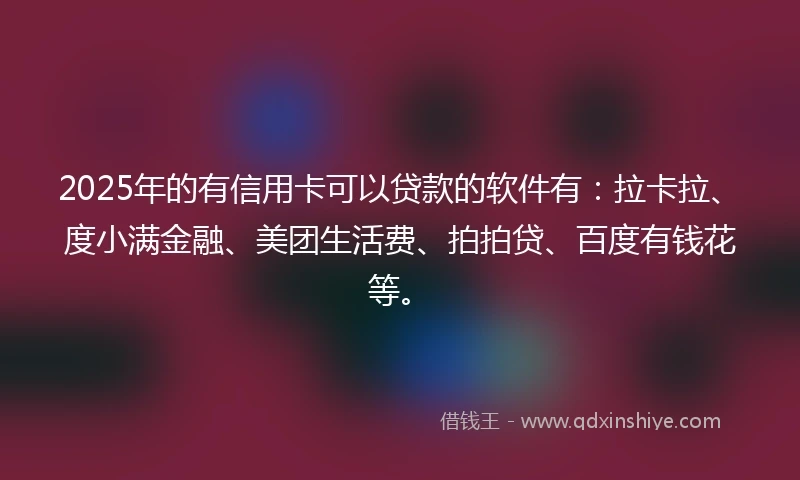 2025年的有信用卡可以贷款的软件有：拉卡拉、度小满金融、美团生活费、拍拍贷、百度有钱花等。