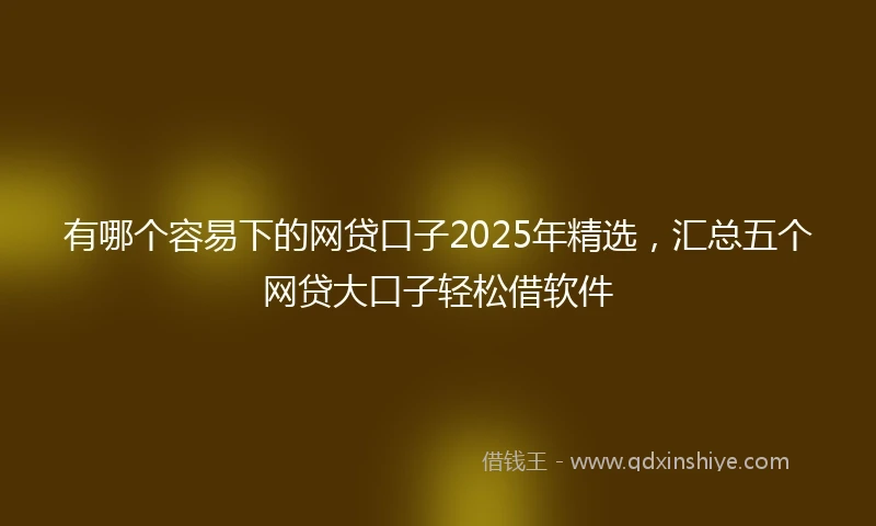 有哪个容易下的网贷口子2025年精选，汇总五个网贷大口子轻松借软件