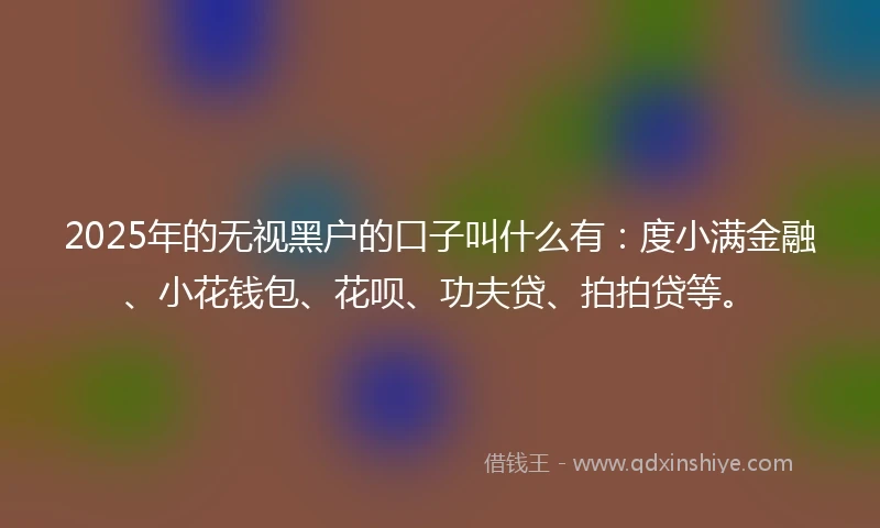 2025年的无视黑户的口子叫什么有：度小满金融、小花钱包、花呗、功夫贷、拍拍贷等。