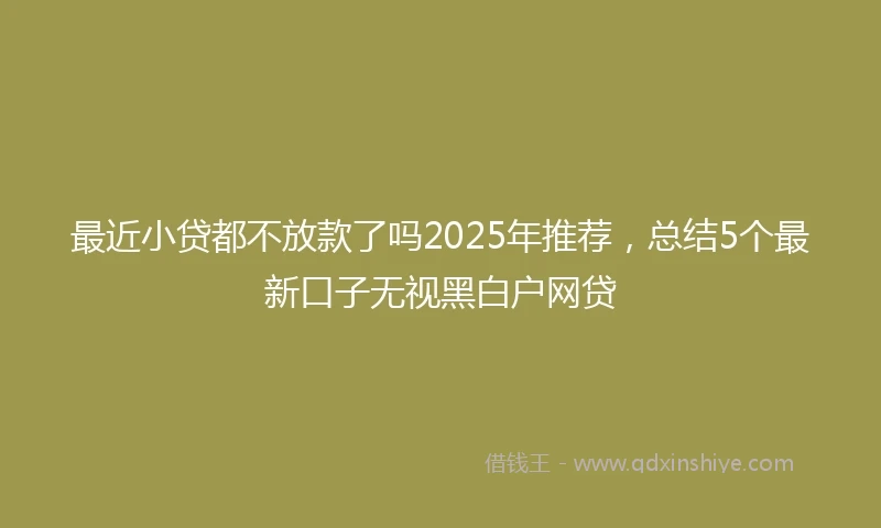 最近小贷都不放款了吗2025年推荐，总结5个最新口子无视黑白户网贷