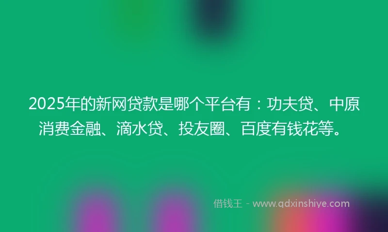 2025年的新网贷款是哪个平台有：功夫贷、中原消费金融、滴水贷、投友圈、百度有钱花等。