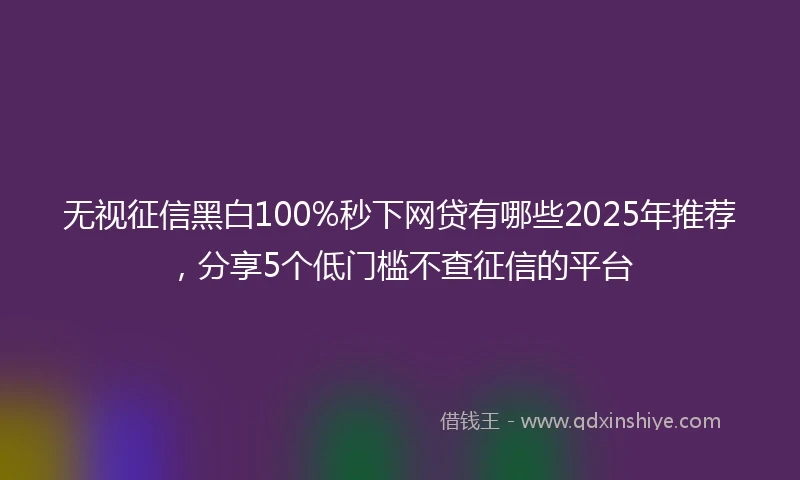 无视征信黑白100%秒下网贷有哪些2025年推荐，分享5个低门槛不查征信的平台