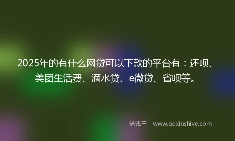 2025年的有什么网贷可以下款的平台有：还呗、美团生活费、滴水贷、e微贷、省呗等。