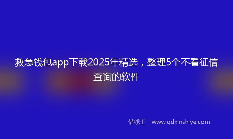 救急钱包app下载2025年精选，整理5个不看征信查询的软件
