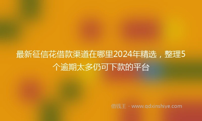 最新征信花借款渠道在哪里2024年精选，整理5个逾期太多仍可下款的平台