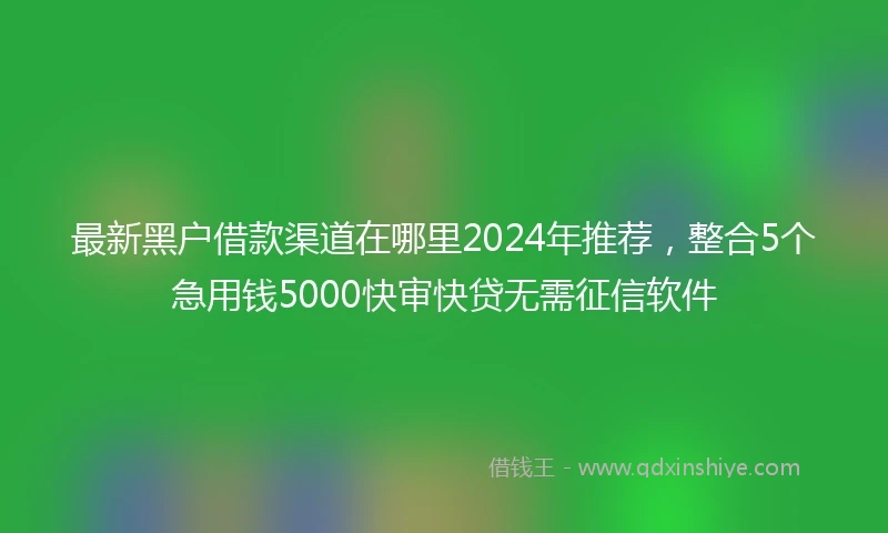 最新黑户借款渠道在哪里2024年推荐，整合5个急用钱5000快审快贷无需征信软件