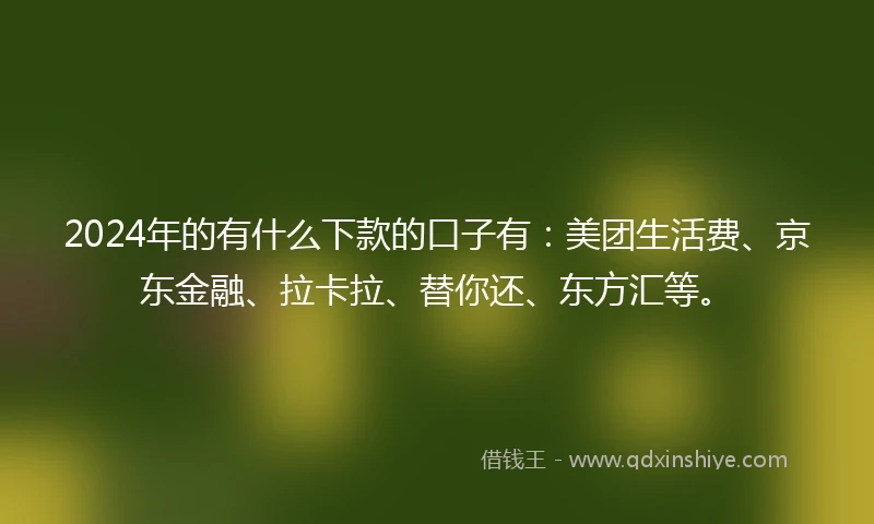 2024年的有什么下款的口子有:美团生活费、京东金融、拉卡拉、替你还、东方汇等。