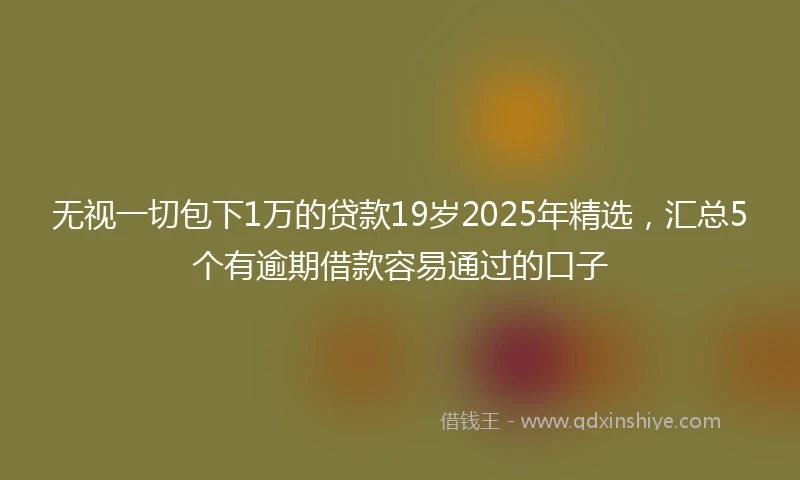 无视一切包下1万的贷款19岁2025年精选，汇总5个有逾期借款容易通过的口子