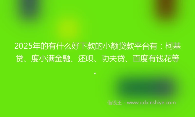 2025年的有什么好下款的小额贷款平台有：柯基贷、度小满金融、还呗、功夫贷、百度有钱花等。