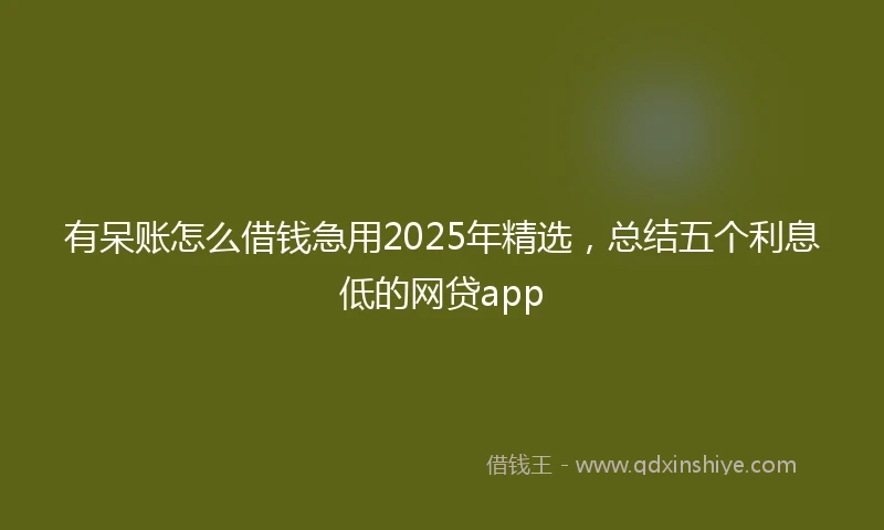 有呆账怎么借钱急用2025年精选，总结五个利息低的网贷app