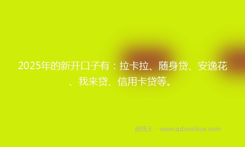 2025年的新开口子有：拉卡拉、随身贷、安逸花、我来贷、信用卡贷等。
