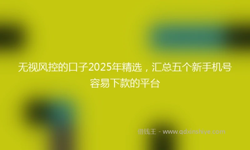 无视风控的口子2025年精选，汇总五个新手机号容易下款的平台