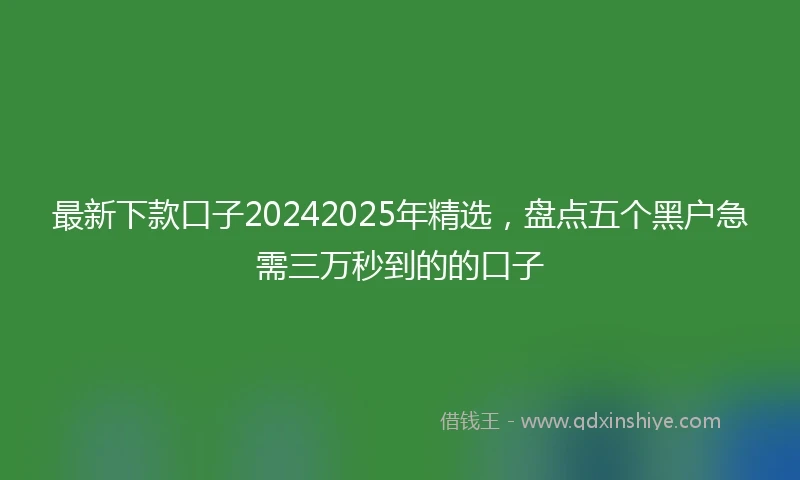 最新下款口子20242025年精选，盘点五个黑户急需三万秒到的的口子