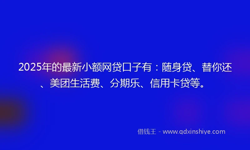 2025年的最新小额网贷口子有：随身贷、替你还、美团生活费、分期乐、信用卡贷等。