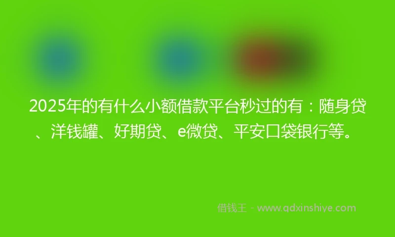 2025年的有什么小额借款平台秒过的有：随身贷、洋钱罐、好期贷、e微贷、平安口袋银行等。