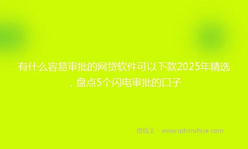 有什么容易审批的网贷软件可以下款2025年精选，盘点5个闪电审批的口子