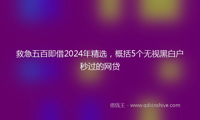 救急五百即借2024年精选，概括5个无视黑白户秒过的网贷
