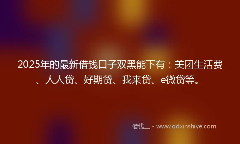 2025年的最新借钱口子双黑能下有：美团生活费、人人贷、好期贷、我来贷、e微贷等。
