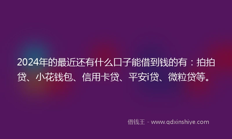 2024年的最近还有什么口子能借到钱的有：拍拍贷、小花钱包、信用卡贷、平安i贷、微粒贷等。