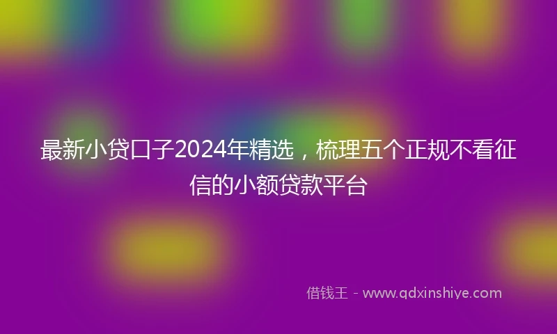 最新小贷口子2024年精选，梳理五个正规不看征信的小额贷款平台