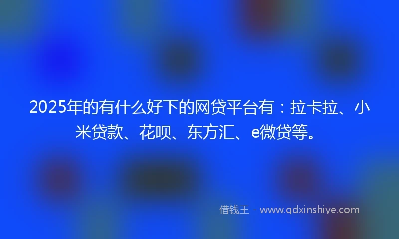 2025年的有什么好下的网贷平台有：拉卡拉、小米贷款、花呗、东方汇、e微贷等。