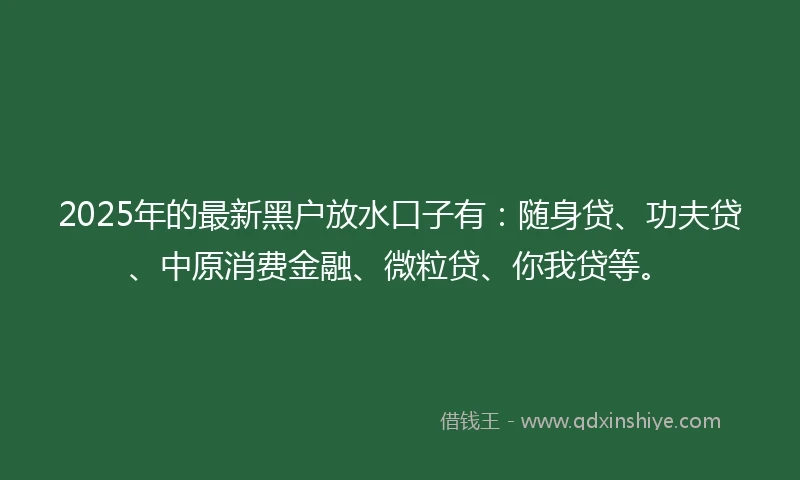 2025年的最新黑户放水口子有：随身贷、功夫贷、中原消费金融、微粒贷、你我贷等。