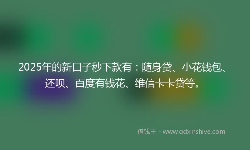 2025年的新口子秒下款有：随身贷、小花钱包、还呗、百度有钱花、维信卡卡贷等。