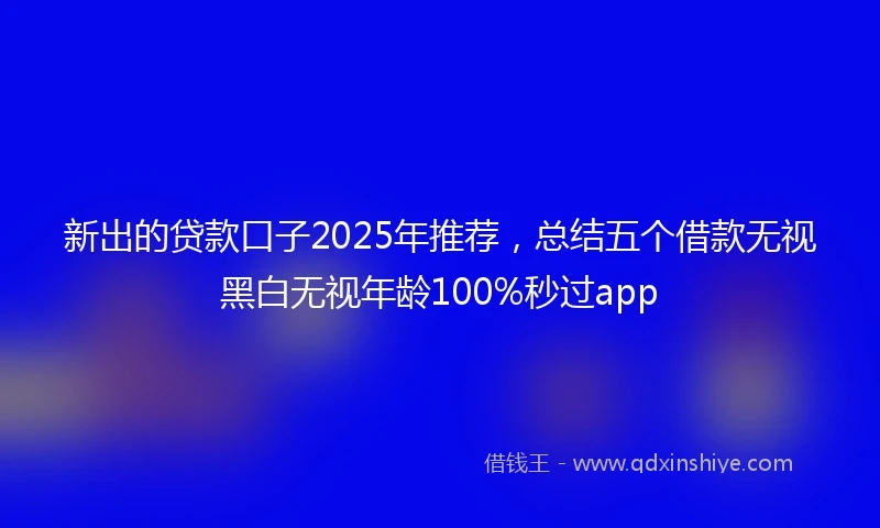 新出的贷款口子2025年推荐，总结五个借款无视黑白无视年龄100%秒过app