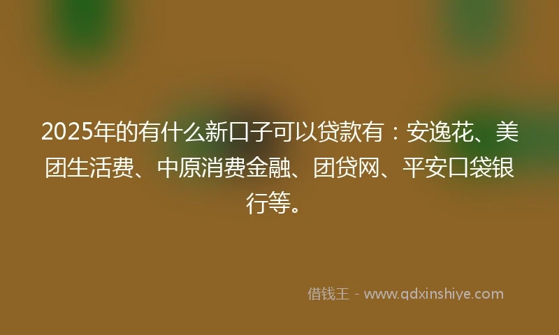 2025年的有什么新口子可以贷款有：安逸花、美团生活费、中原消费金融、团贷网、平安口袋银行等。