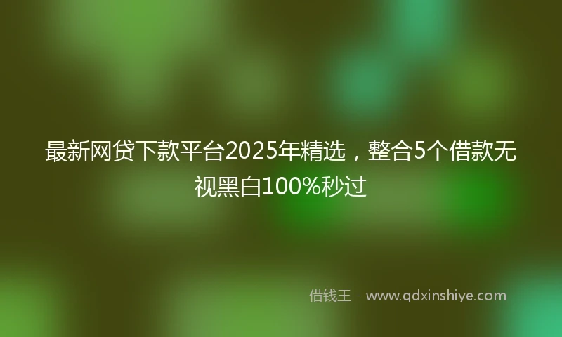 最新网贷下款平台2025年精选，整合5个借款无视黑白100%秒过