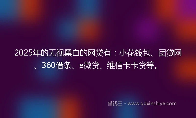 2025年的无视黑白的网贷有：小花钱包、团贷网、360借条、e微贷、维信卡卡贷等。
