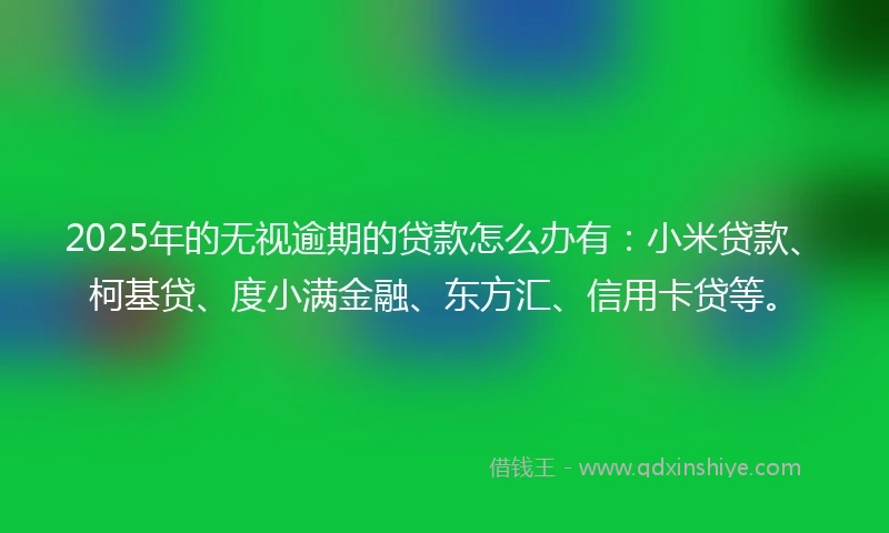 2025年的无视逾期的贷款怎么办有：小米贷款、柯基贷、度小满金融、东方汇、信用卡贷等。