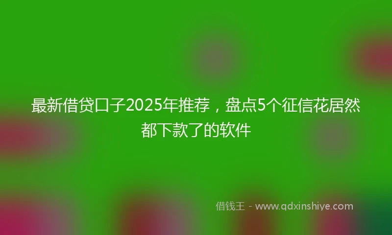 最新借贷口子2025年推荐，盘点5个征信花居然都下款了的软件