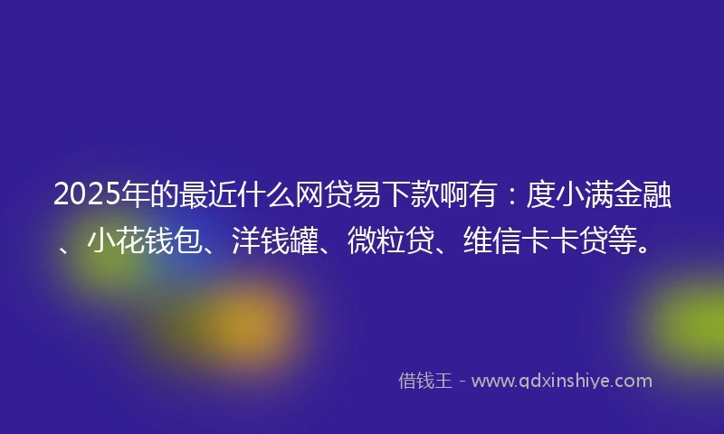 2025年的最近什么网贷易下款啊有：度小满金融、小花钱包、洋钱罐、微粒贷、维信卡卡贷等。