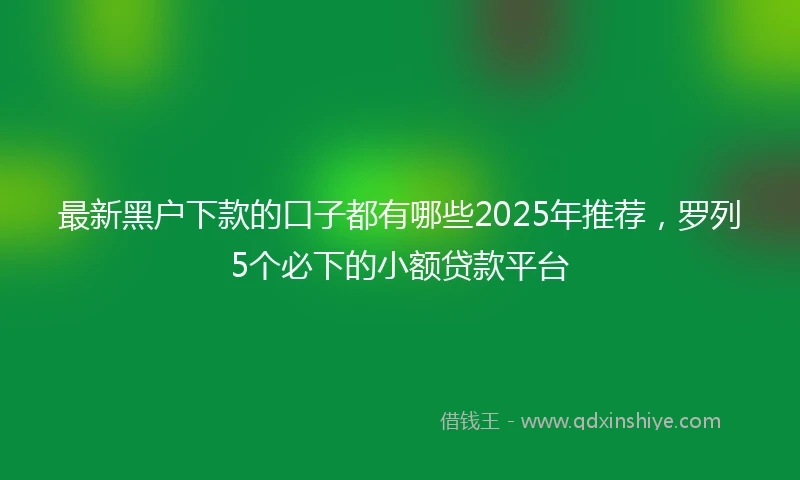 最新黑户下款的口子都有哪些2025年推荐，罗列5个必下的小额贷款平台