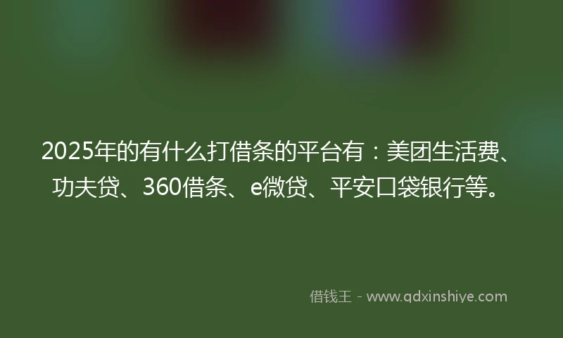 2025年的有什么打借条的平台有：美团生活费、功夫贷、360借条、e微贷、平安口袋银行等。