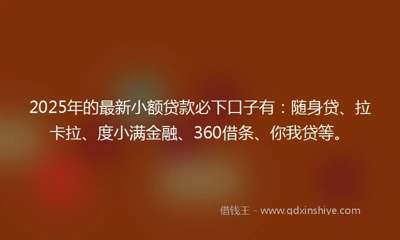 2025年的最新小额贷款必下口子有：随身贷、拉卡拉、度小满金融、360借条、你我贷等。