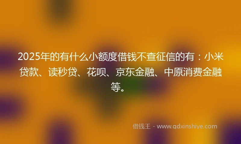 2025年的有什么小额度借钱不查征信的有：小米贷款、读秒贷、花呗、京东金融、中原消费金融等。