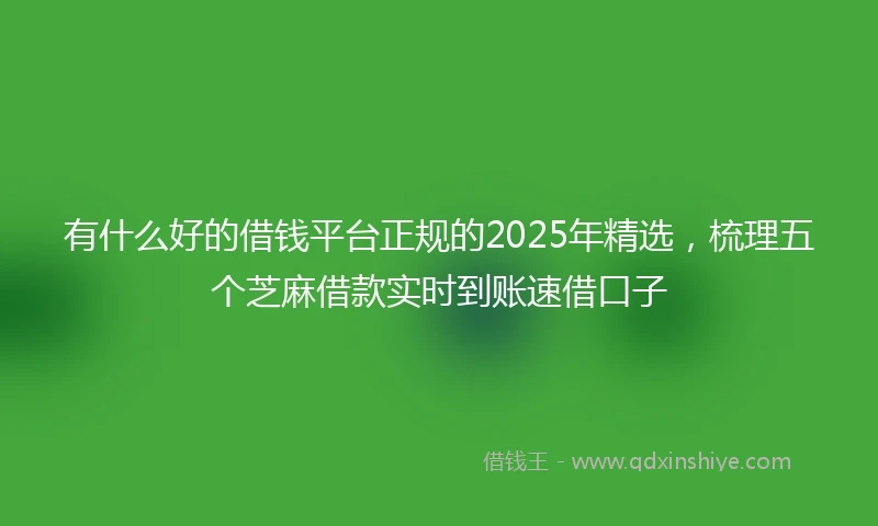 有什么好的借钱平台正规的2025年精选，梳理五个芝麻借款实时到账速借口子