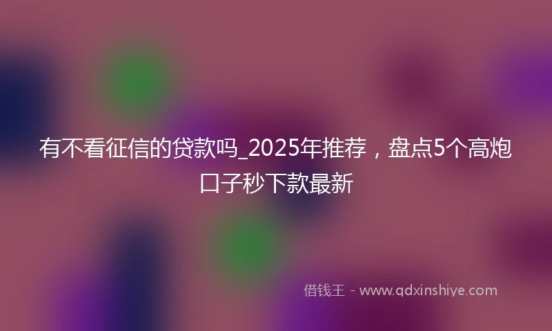 有不看征信的贷款吗_2025年推荐,盘点5个高炮口子秒下款最新