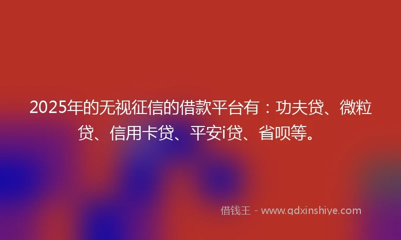 2025年的无视征信的借款平台有：功夫贷、微粒贷、信用卡贷、平安i贷、省呗等。