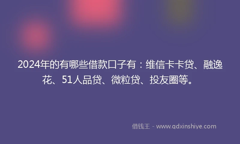 2024年的有哪些借款口子有：维信卡卡贷、融逸花、51人品贷、微粒贷、投友圈等。