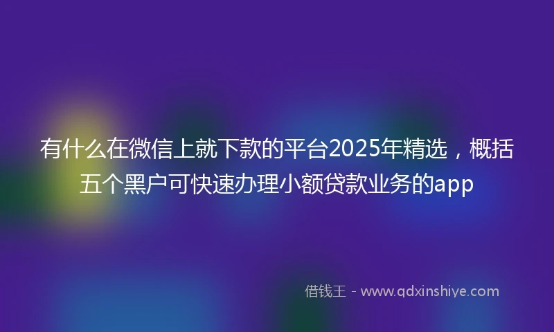 有什么在微信上就下款的平台2025年精选，概括五个黑户可快速办理小额贷款业务的app