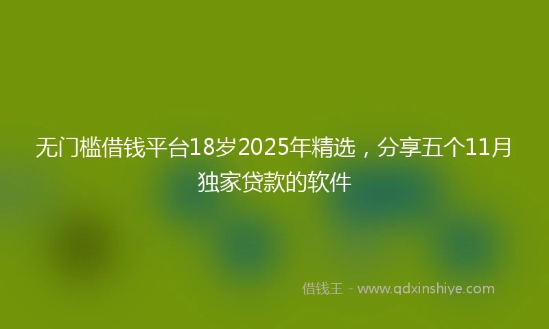 无门槛借钱平台18岁2025年精选,分享五个11月独家贷款的软件