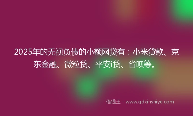 2025年的无视负债的小额网贷有：小米贷款、京东金融、微粒贷、平安i贷、省呗等。