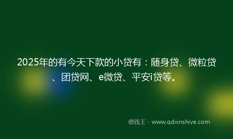 2025年的有今天下款的小贷有：随身贷、微粒贷、团贷网、e微贷、平安i贷等。