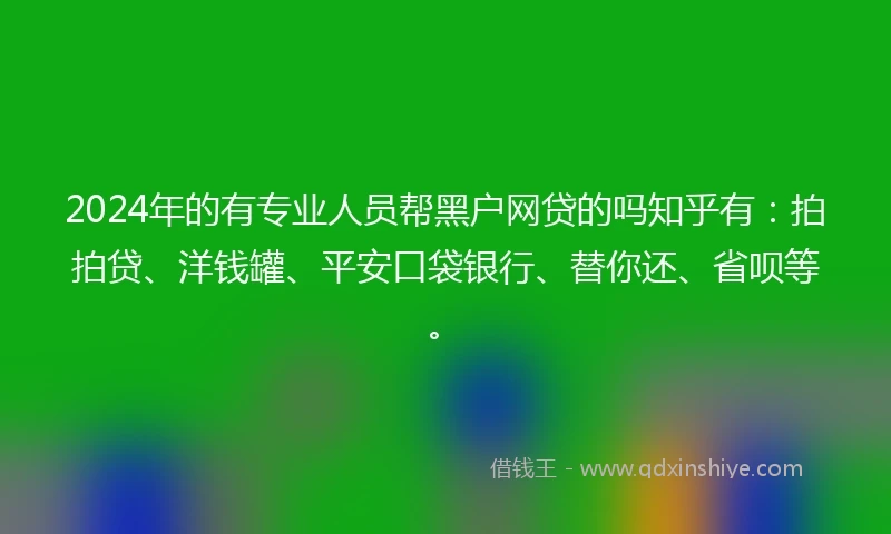 2024年的有专业人员帮黑户网贷的吗知乎有：拍拍贷、洋钱罐、平安口袋银行、替你还、省呗等。