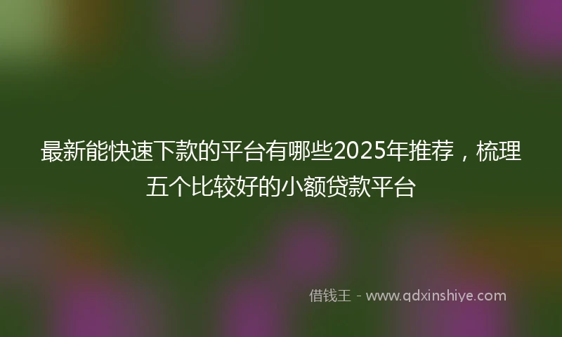 最新能快速下款的平台有哪些2025年推荐，梳理五个比较好的小额贷款平台