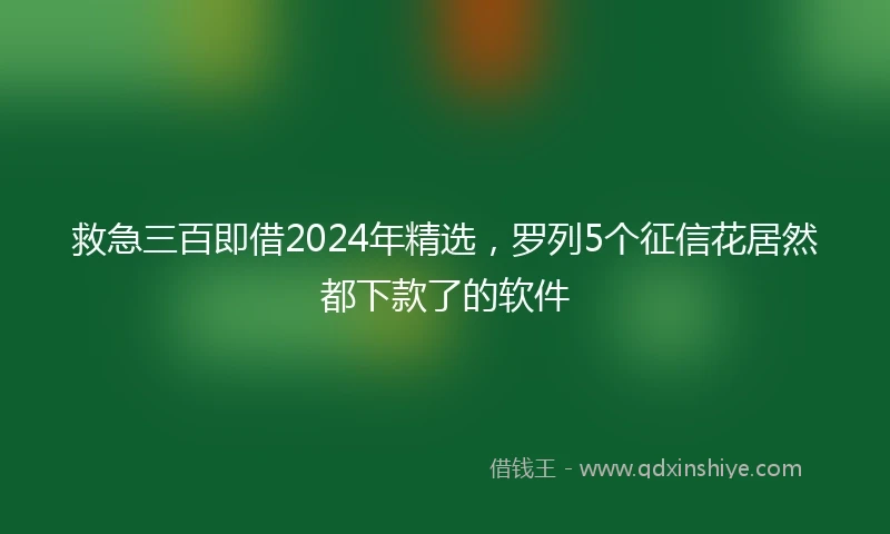 救急三百即借2024年精选，罗列5个征信花居然都下款了的软件